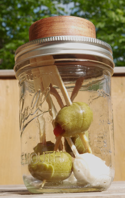 Mason Jar Adapter for Cheese and Snack Smoking
